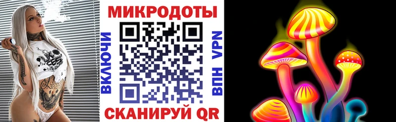 Псилоцибиновые грибы GOLDEN TEACHER продажа наркотиков Щучье